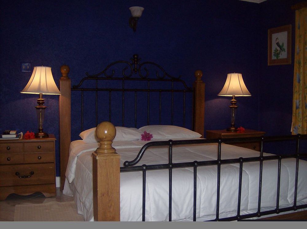 Bar-B-Barn Beach Hotel Negril Room photo